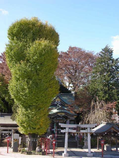 21年 所沢デートで行きたい名所 所沢デートおすすめ人気スポット30選 一休 Comレストラン