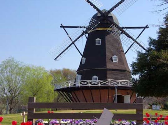 土浦全国花火競技大会 茨城 つくば 人気デートスポット 一休 Comレストラン