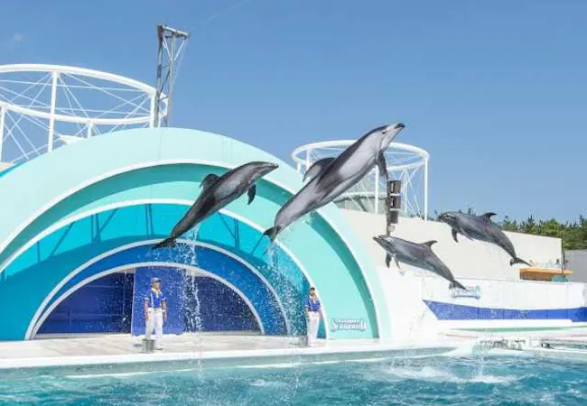 22年 千葉観光で行きたい名所 千葉旅行おすすめ人気スポット30選 一休 Com 22年 千葉観光で行きたい名所 千葉旅行おすすめ人気スポット30選 一休 Com