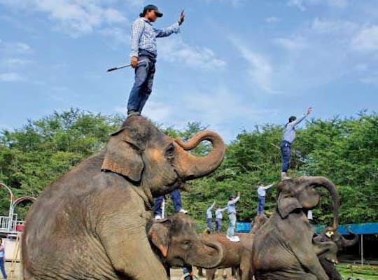 東京ドイツ村 千葉 袖ヶ浦 人気デートスポット 一休 Comレストラン 東京ドイツ村 千葉 袖ヶ浦 人気デートスポット 一休 Comレストラン