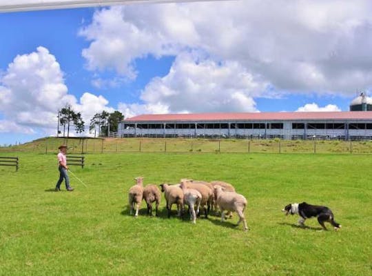 鴨川シーワールド 千葉 勝浦 鴨川 人気デートスポット 一休 Comレストラン 鴨川シーワールド 千葉 勝浦 鴨川 人気デートスポット 一休 Comレストラン