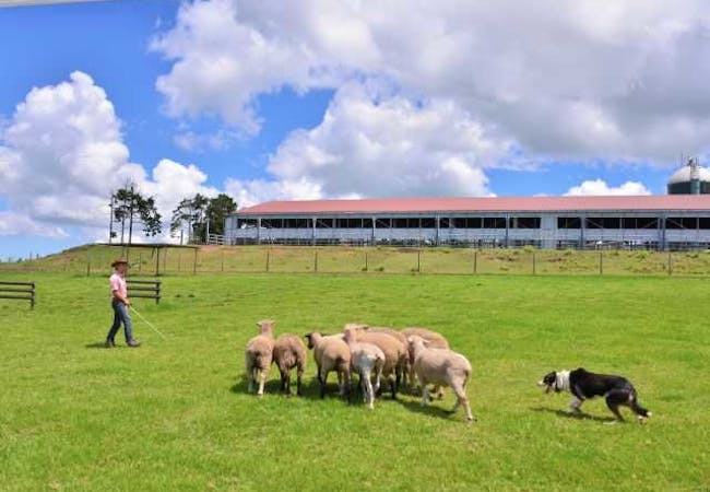 22年 千葉観光で行きたい名所 千葉旅行おすすめ人気スポット30選 一休 Com 22年 千葉観光で行きたい名所 千葉旅行おすすめ人気スポット30選 一休 Com