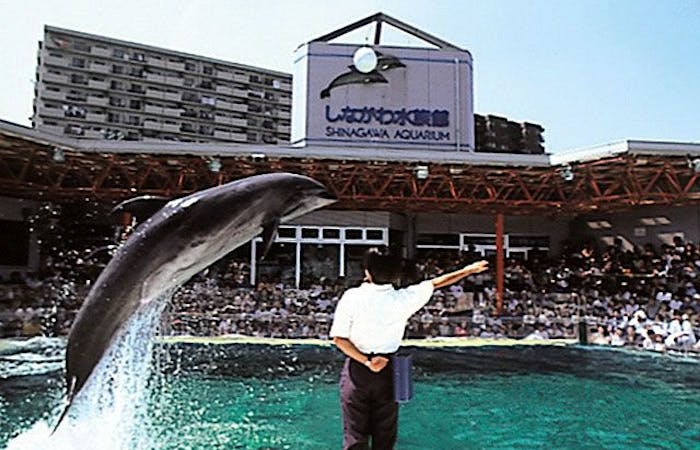21年 品川観光で行きたい名所 品川旅行おすすめ人気スポット30選 一休 Com 21年 品川観光で行きたい名所 品川旅行おすすめ人気スポット30選 一休 Com