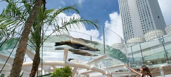 21年 巣鴨観光で行きたい名所 巣鴨旅行おすすめ人気スポット30選 一休 Com 21年 巣鴨観光で行きたい名所 巣鴨旅行おすすめ人気スポット30選 一休 Com