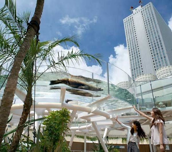 サンシャイン水族館 東京 池袋 人気スポット 一休 Com サンシャイン水族館 東京 池袋 人気スポット 一休 Com