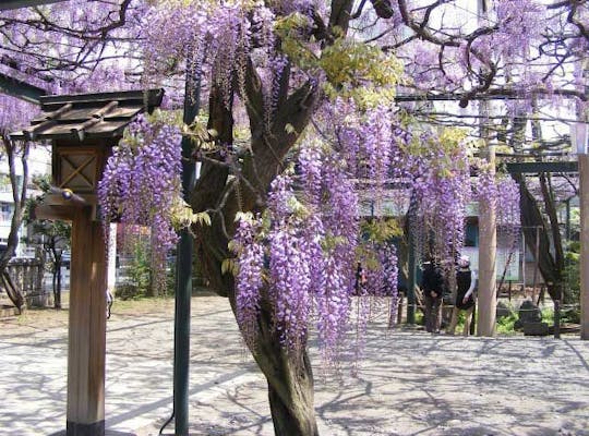 川崎市藤子 f 不二雄ミュージアム 神奈川 川崎 人気スポット 一休 Com 川崎市藤子 f 不二雄ミュージアム 神奈川 川崎 人気スポット 一休 Com