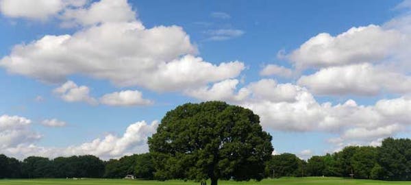 21年 八王子観光で行きたい名所 八王子旅行おすすめ人気スポット30選 一休 Com 21年 八王子観光で行きたい名所 八王子旅行おすすめ人気スポット30選 一休 Com