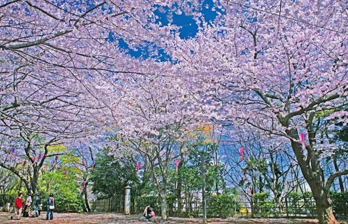 21年 王子デートで行きたい名所 王子デートおすすめ人気スポット30選 一休 Comレストラン 21年 王子デートで行きたい名所 王子デートおすすめ人気スポット30選 一休 Comレストラン