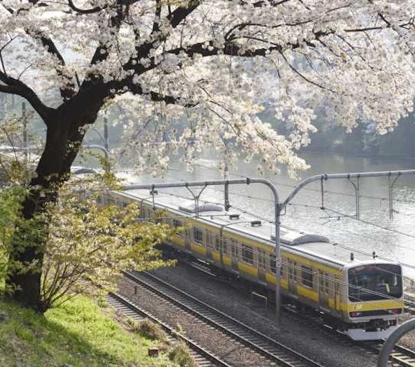 外濠公園 東京 紀尾井町 人気スポット 一休 Com 外濠公園 東京 紀尾井町 人気スポット 一休 Com