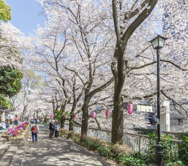 江戸川公園 東京 新宿 人気スポット 一休 Com 江戸川公園 東京 新宿 人気スポット 一休 Com