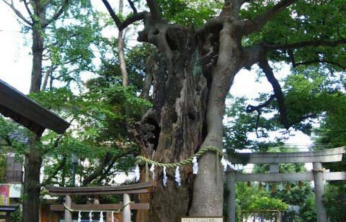 21年 蒲田 大森 羽田周辺観光で行きたい名所 蒲田 大森 羽田周辺旅行おすすめ人気スポット30選 一休 Com 21年 蒲田 大森 羽田周辺観光で行きたい名所 蒲田 大森 羽田周辺旅行おすすめ人気スポット30選 一休 Com
