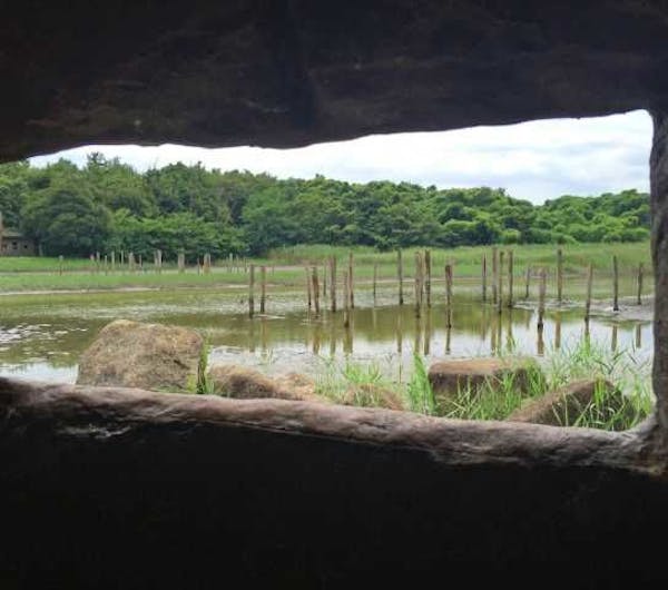 鳥類園ウォッチングセンター 東京 新木場 人気デートスポット 一休 Comレストラン 鳥類園ウォッチングセンター 東京 新木場 人気デートスポット 一休 Comレストラン