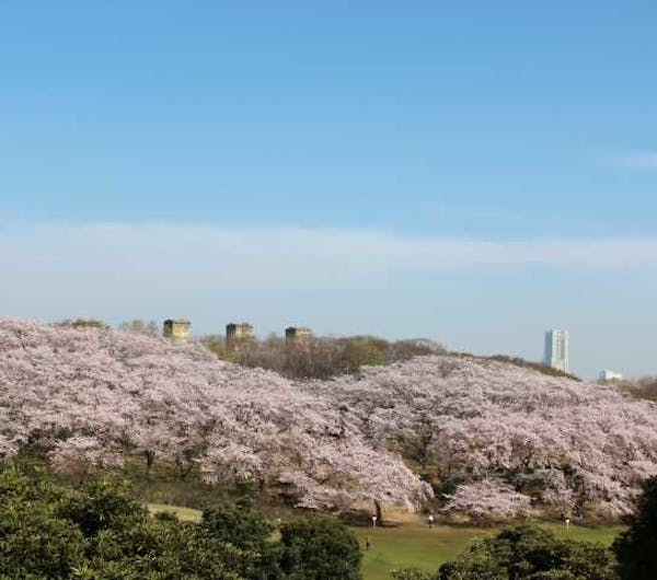 根岸森林公園 神奈川 横浜 人気スポット 一休 Com 根岸森林公園 神奈川 横浜 人気スポット 一休 Com