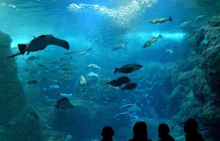 21年 湘南観光で行きたい名所 湘南旅行おすすめ人気スポット30選 一休 Com 21年 湘南観光で行きたい名所 湘南旅行おすすめ人気スポット30選 一休 Com