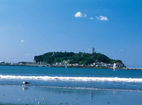 新江ノ島水族館 神奈川 湘南 人気スポット 一休 Com 新江ノ島水族館 神奈川 湘南 人気スポット 一休 Com