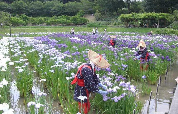 21年 横須賀観光で行きたい名所 横須賀旅行おすすめ人気スポット30選 一休 Com 21年 横須賀観光で行きたい名所 横須賀旅行おすすめ人気スポット30選 一休 Com
