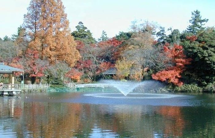 2021年 高岡観光で行きたい名所 高岡旅行おすすめ人気スポット27選 一休 Com