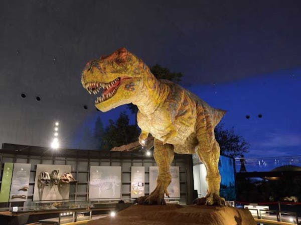 福井県立恐竜博物館 福井 勝山 人気スポット 一休 Com 福井県立恐竜博物館 福井 勝山 人気スポット 一休 Com