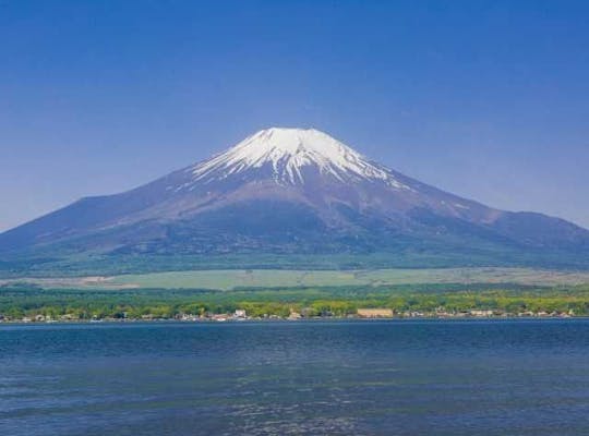 富士サファリパーク 静岡 静岡市 人気スポット 一休 Com 富士サファリパーク 静岡 静岡市 人気スポット 一休 Com