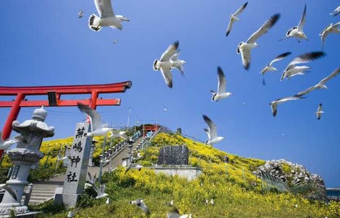 21年 八戸観光で行きたい名所 八戸旅行おすすめ人気スポット9選 一休 Com 21年 八戸観光で行きたい名所 八戸旅行おすすめ人気スポット9選 一休 Com