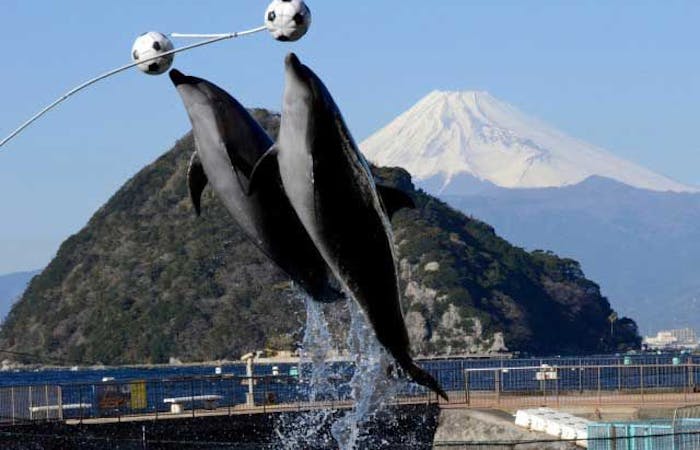 21年 沼津観光で行きたい名所 沼津旅行おすすめ人気スポット30選 一休 Com 21年 沼津観光で行きたい名所 沼津旅行おすすめ人気スポット30選 一休 Com