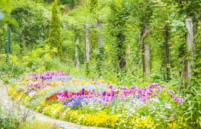 21年 伊東観光で行きたい名所 伊東旅行おすすめ人気スポット30選 一休 Com 21年 伊東観光で行きたい名所 伊東旅行おすすめ人気スポット30選 一休 Com