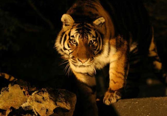 22年 静岡観光で行きたい名所 静岡旅行おすすめ人気スポット30選 一休 Com 22年 静岡観光で行きたい名所 静岡旅行おすすめ人気スポット30選 一休 Com