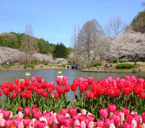 はままつフラワーパーク 静岡 浜松 人気スポット 一休 Com はままつフラワーパーク 静岡 浜松 人気スポット 一休 Com