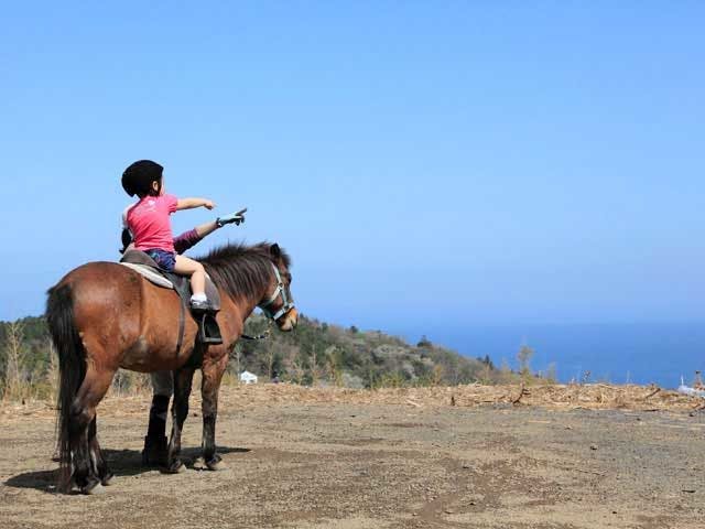 与那国馬ふれあい牧場 静岡 伊豆高原 人気スポット 一休 Com