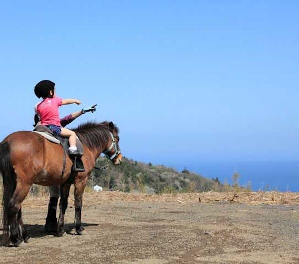 与那国馬ふれあい牧場 静岡 伊豆高原 人気スポット 一休 Com 与那国馬ふれあい牧場 静岡 伊豆高原 人気スポット 一休 Com