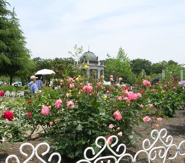 鶴舞公園 愛知 名古屋 人気スポット 一休 Com 鶴舞公園 愛知 名古屋 人気スポット 一休 Com