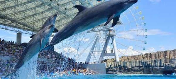 21年 岡崎観光で行きたい名所 岡崎旅行おすすめ人気スポット30選 一休 Com 21年 岡崎観光で行きたい名所 岡崎旅行おすすめ人気スポット30選 一休 Com