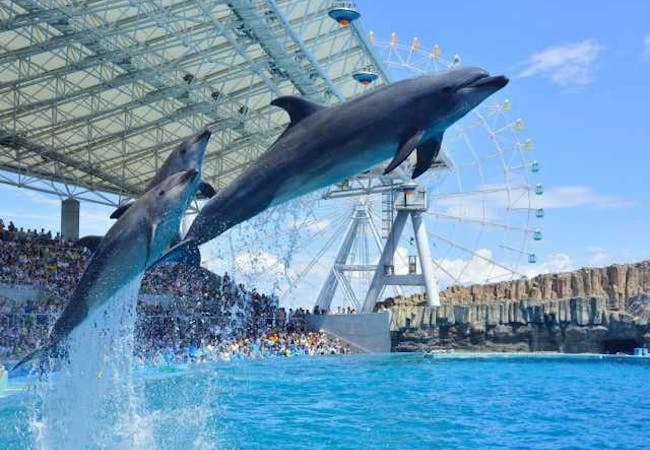 22年 愛知観光で行きたい名所 愛知旅行おすすめ人気スポット30選 一休 Com 22年 愛知観光で行きたい名所 愛知旅行おすすめ人気スポット30選 一休 Com