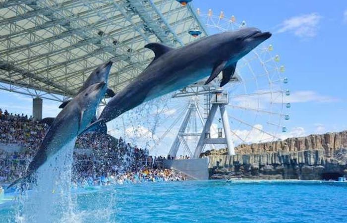 21年 名古屋観光で行きたい名所 名古屋旅行おすすめ人気スポット30選 一休 Com 21年 名古屋観光で行きたい名所 名古屋旅行おすすめ人気スポット30選 一休 Com