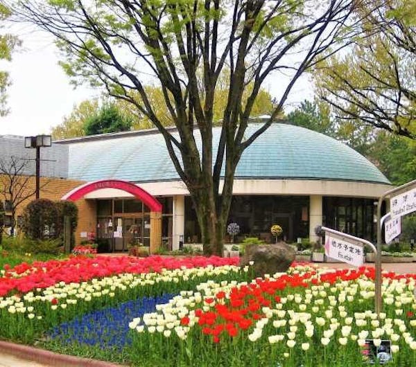 名城公園 愛知 名古屋 人気デートスポット 一休 Comレストラン 名城公園 愛知 名古屋 人気デートスポット 一休 Comレストラン