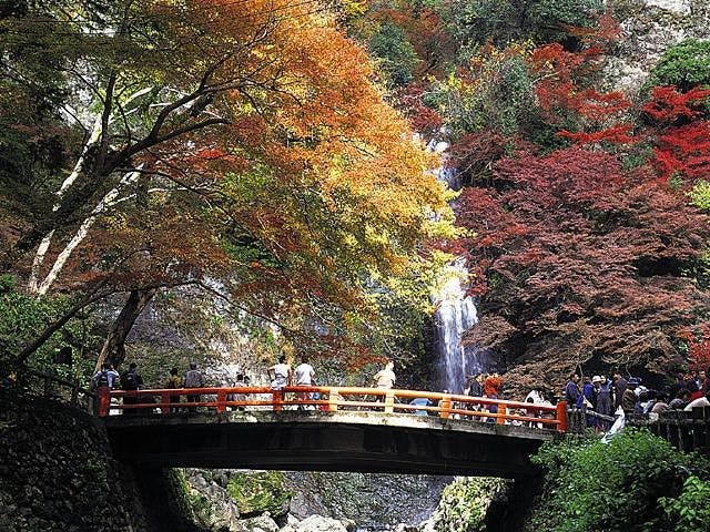 22年 茨木 高槻 箕面 伊丹空港観光で行きたい名所 茨木 高槻 箕面 伊丹空港旅行おすすめ人気スポット30選 一休 Com