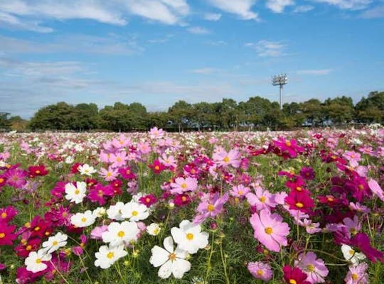国営木曽三川公園 木曽三川公園センター 岐阜 岐阜 大垣 養老 人気スポット 一休 Com 国営木曽三川公園 木曽三川公園センター 岐阜 岐阜 大垣 養老 人気スポット 一休 Com