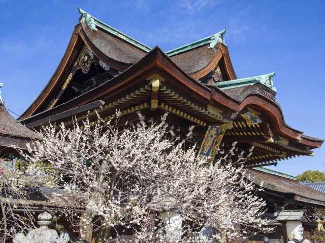 北野天満宮 京都 御池 人気スポット 一休 Com 北野天満宮 京都 御池 人気スポット 一休 Com
