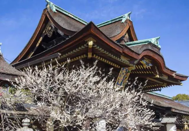 22年 京都観光で行きたい名所 京都旅行おすすめ人気スポット30選 一休 Com 22年 京都観光で行きたい名所 京都旅行おすすめ人気スポット30選 一休 Com