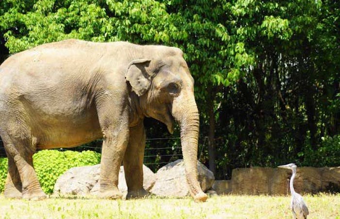 22年 天王寺観光で行きたい名所 天王寺旅行おすすめ人気スポット30選 一休 Com 22年 天王寺観光で行きたい名所 天王寺旅行おすすめ人気スポット30選 一休 Com