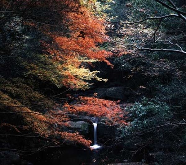 犬鳴山の紅葉 大阪 泉佐野 人気スポット 一休 Com 犬鳴山の紅葉 大阪 泉佐野 人気スポット 一休 Com