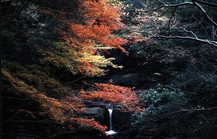 犬鳴山の紅葉 大阪 泉佐野 人気スポット 一休 Com 犬鳴山の紅葉 大阪 泉佐野 人気スポット 一休 Com