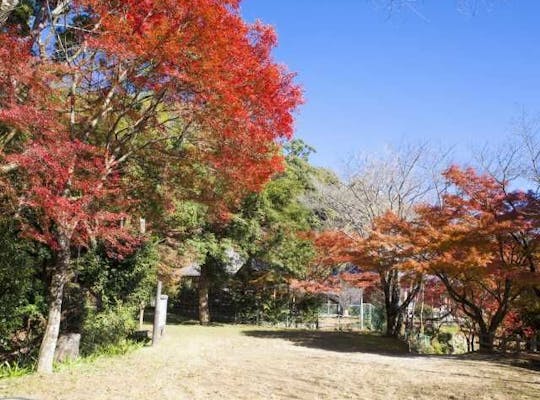 犬鳴山の紅葉 大阪 泉佐野 人気紅葉スポット 一休 Comレストラン 犬鳴山の紅葉 大阪 泉佐野 人気紅葉スポット 一休 Comレストラン