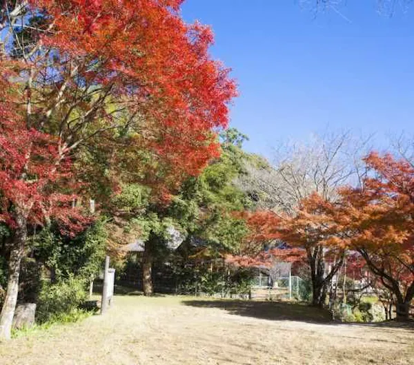 長野公園 大阪 堺 人気スポット 一休 Com 長野公園 大阪 堺 人気スポット 一休 Com