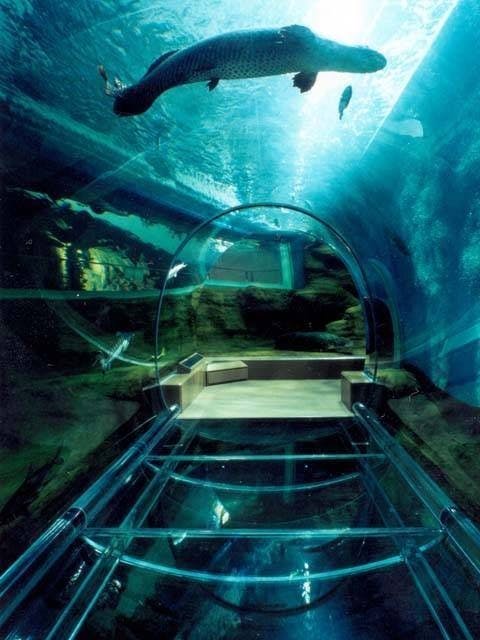 神戸市立須磨海浜水族園 兵庫 須磨 垂水 舞子 人気スポット 一休 Com