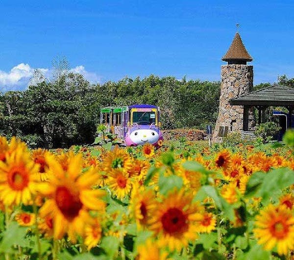 淡路ファームパーク イングランドの丘 兵庫 淡路島 人気スポット 一休 Com 淡路ファームパーク イングランドの丘 兵庫 淡路島 人気スポット 一休 Com