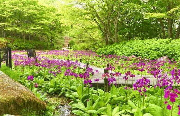 21年 六甲山観光で行きたい名所 六甲山旅行おすすめ人気スポット30選 一休 Com 21年 六甲山観光で行きたい名所 六甲山旅行おすすめ人気スポット30選 一休 Com