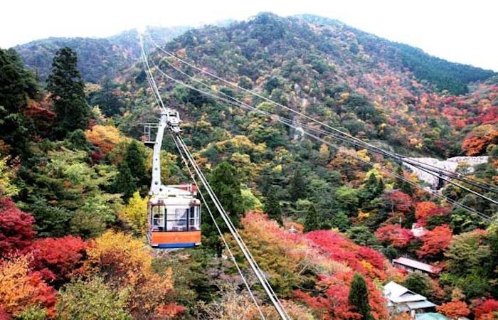 21年 六甲山観光で行きたい名所 六甲山旅行おすすめ人気スポット30選 一休 Com 21年 六甲山観光で行きたい名所 六甲山旅行おすすめ人気スポット30選 一休 Com