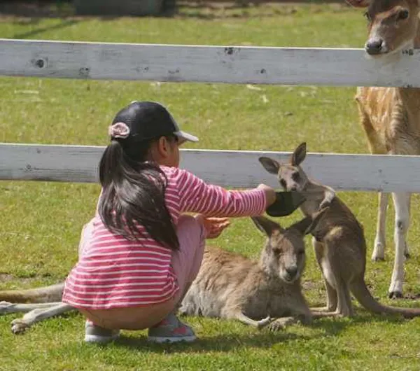 赤穂海浜公園 動物ふれあい村 兵庫 赤穂 人気スポット 一休 Com 赤穂海浜公園 動物ふれあい村 兵庫 赤穂 人気スポット 一休 Com