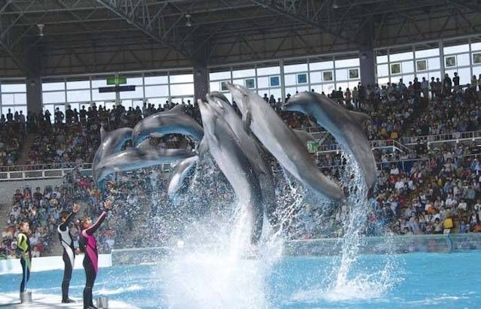 21年 白浜観光で行きたい名所 白浜旅行おすすめ人気スポット8選 一休 Com 21年 白浜観光で行きたい名所 白浜旅行おすすめ人気スポット8選 一休 Com